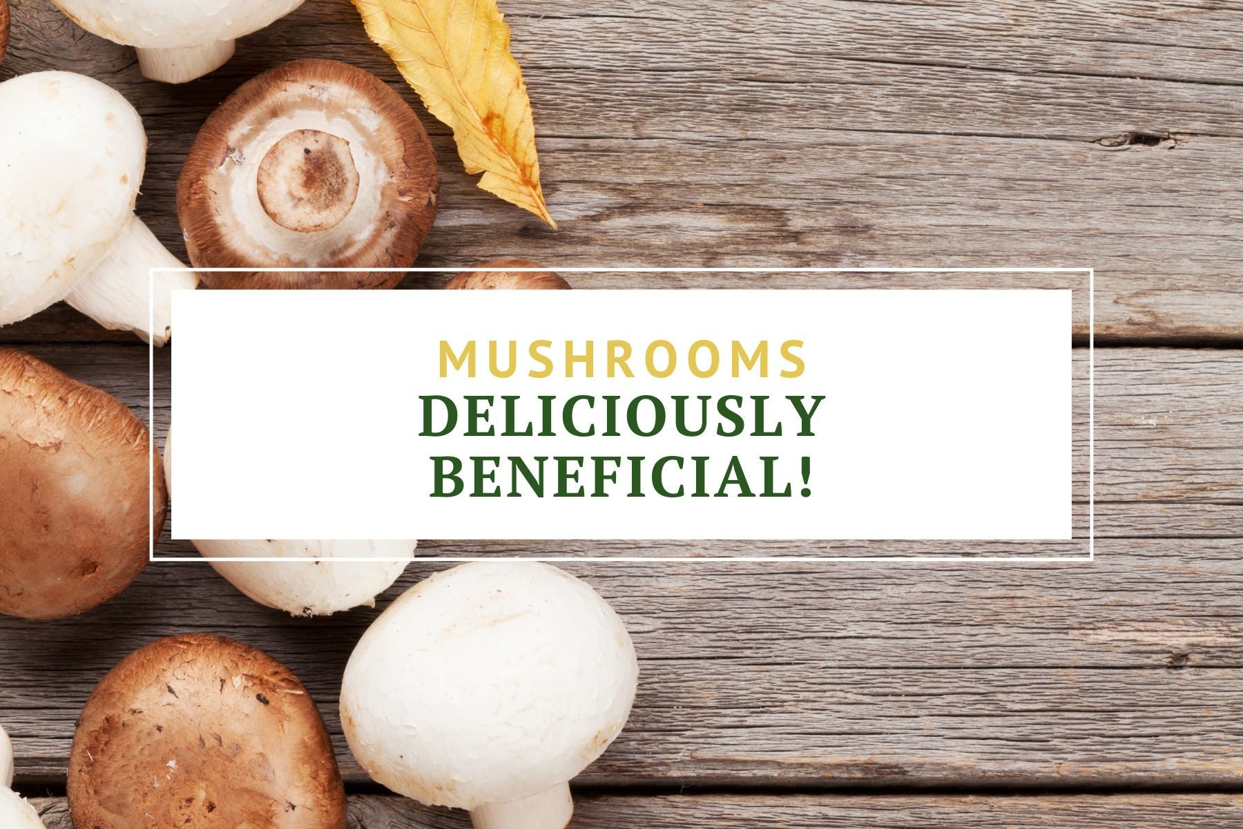 Mushrooms are deliciously beneficial!