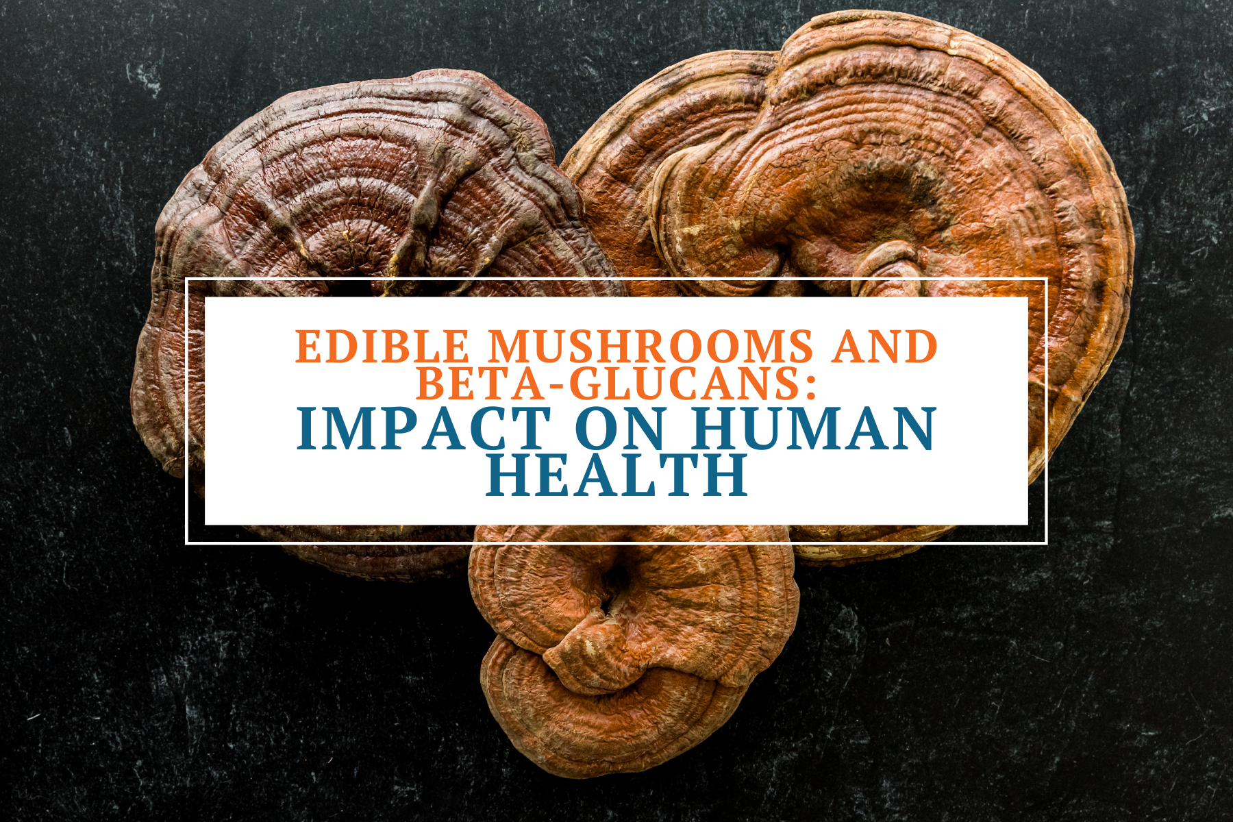 the edible mushrooms in nourishing nutrients organic superfood10 mushroom powder extract