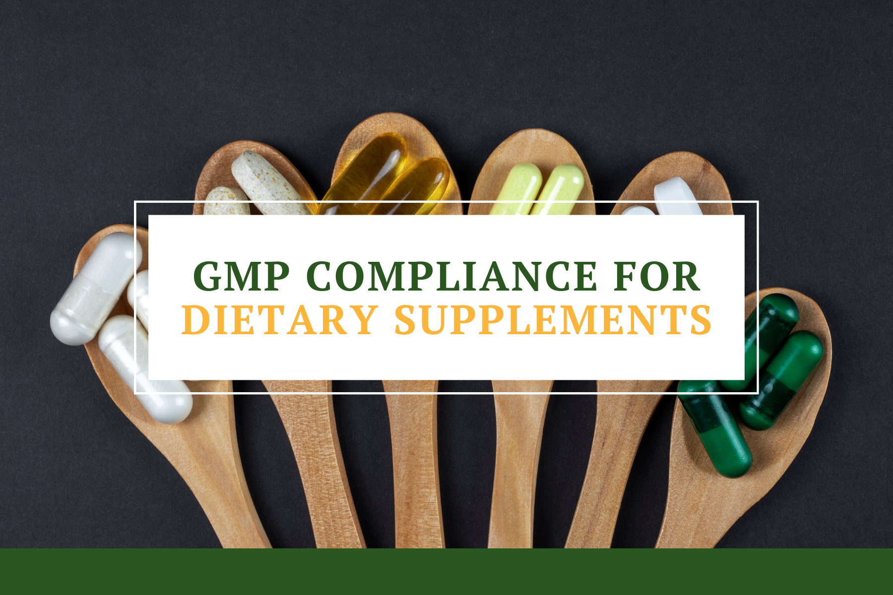 GMP Audits According to 21 CFR Part 111 for Food Supplements