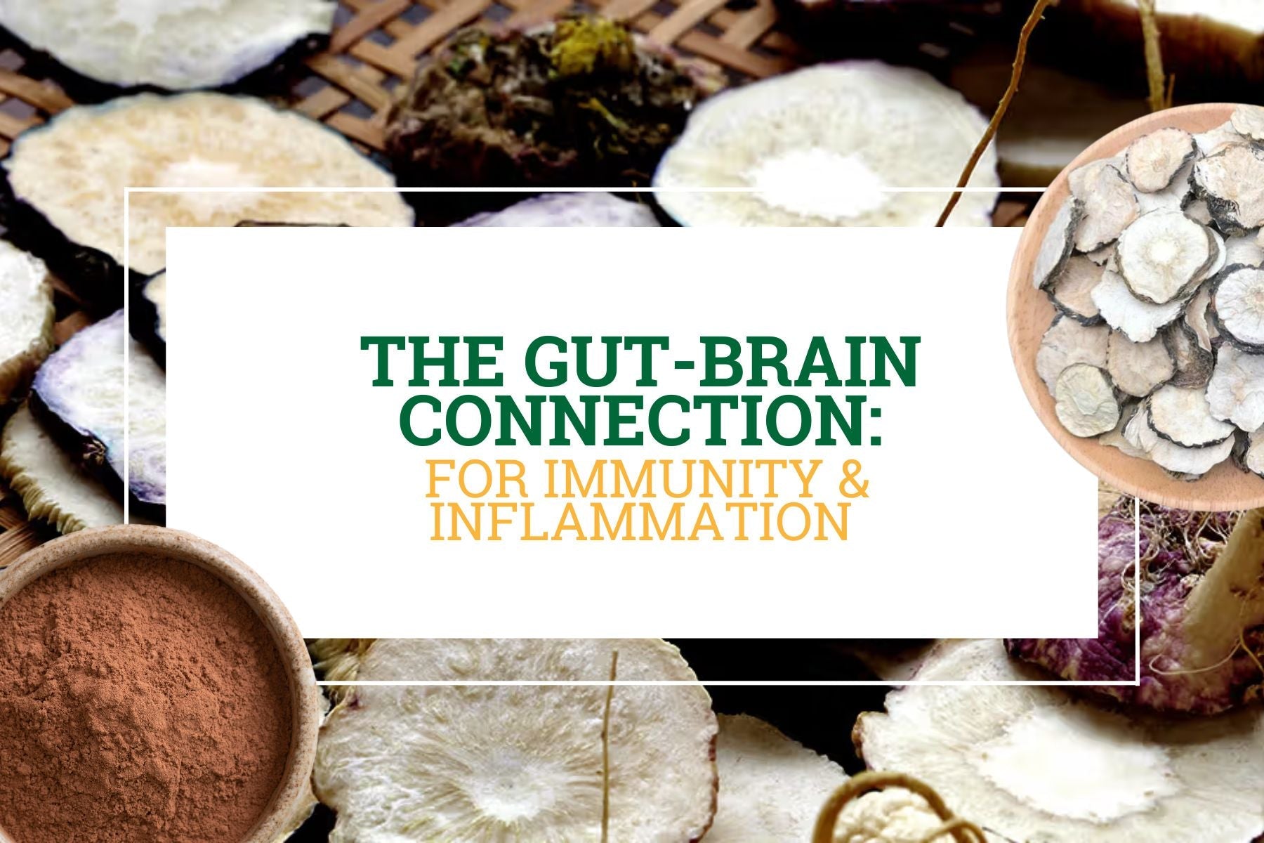 The Gut-Brain Connection: How Digestion Affects Mental Clarity