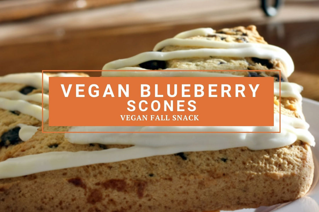 Vegan Blueberry Scones