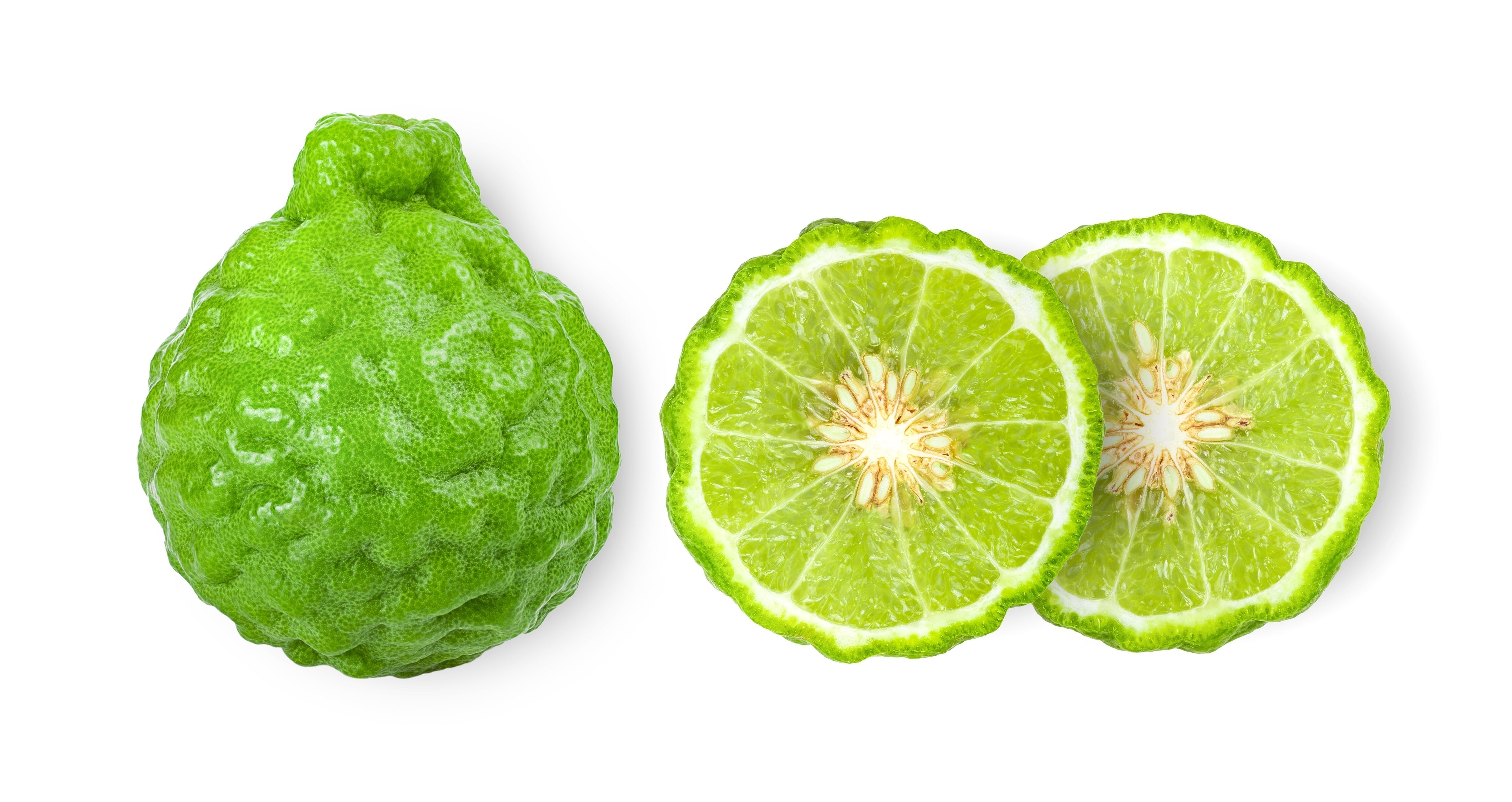 Bright green citrus bergamont on a clean, white background