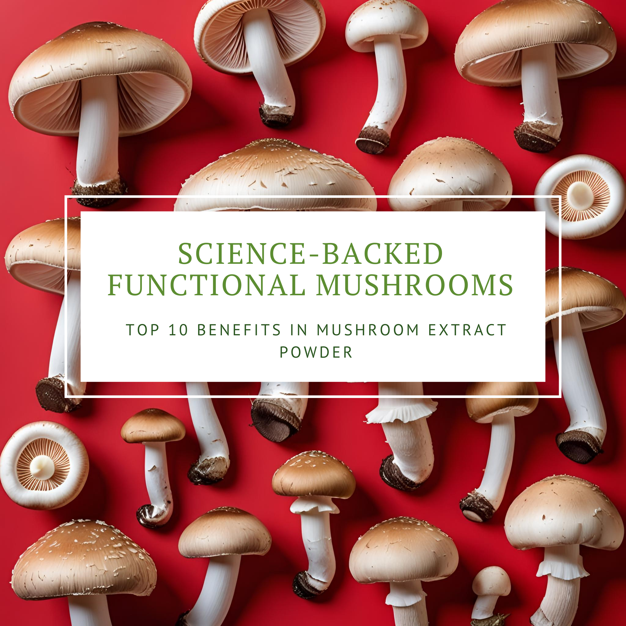 Science-Backed Functional Mushrooms: Top 10 Benefits in Mushroom Extract Powder