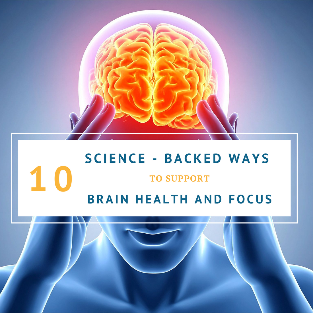 10 science backed ways to improve brain health wild caught fish eggs nourishing nutrients