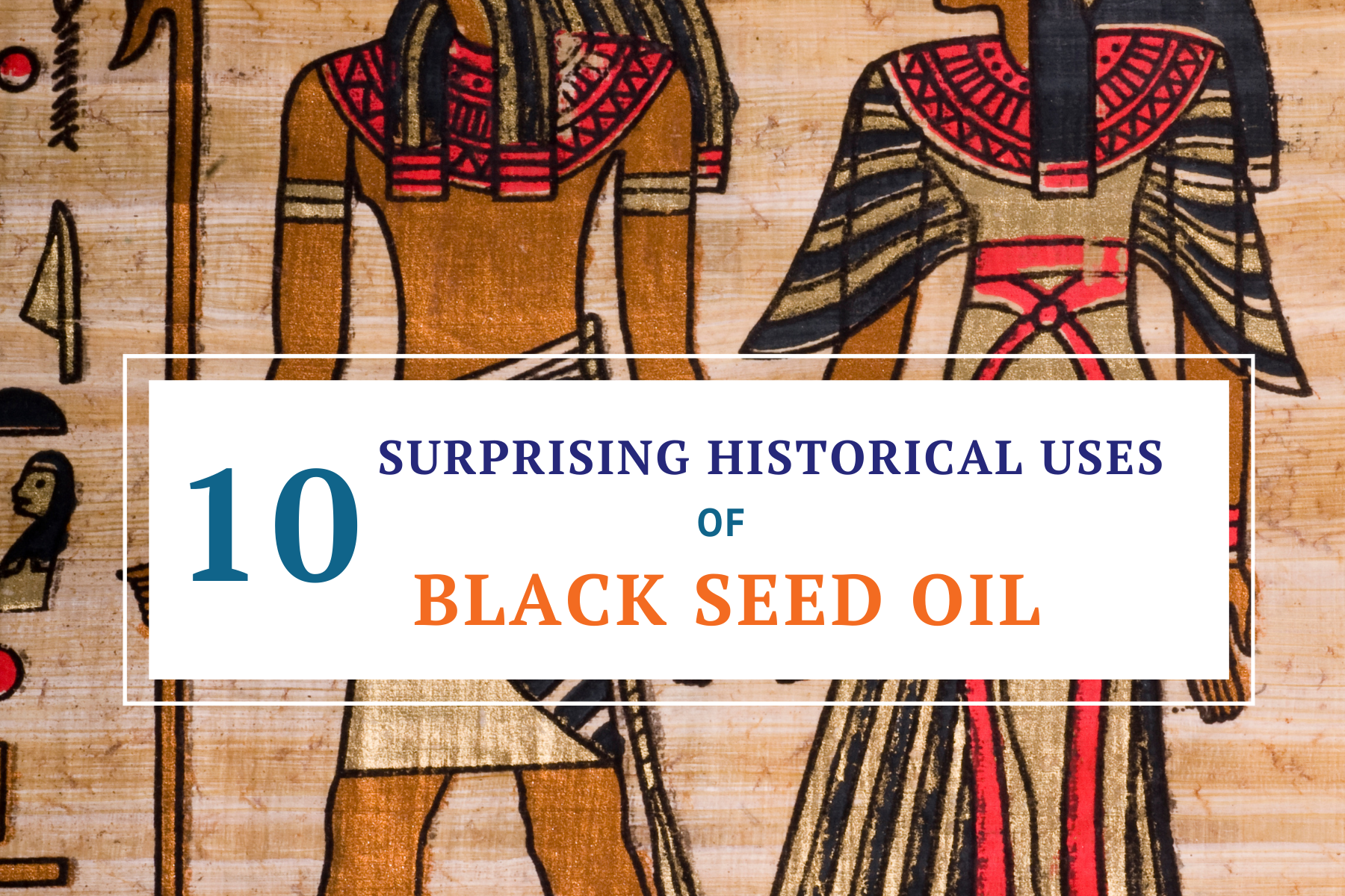 10 surprising historical uses of black seed oil, and what modern science actually says about it today