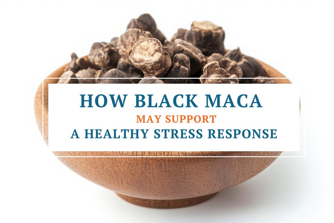 Black maca may support a healthy stress response