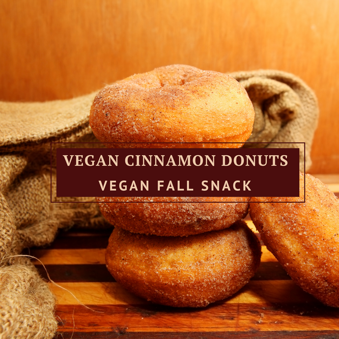 Vegan Cinnamon Donuts