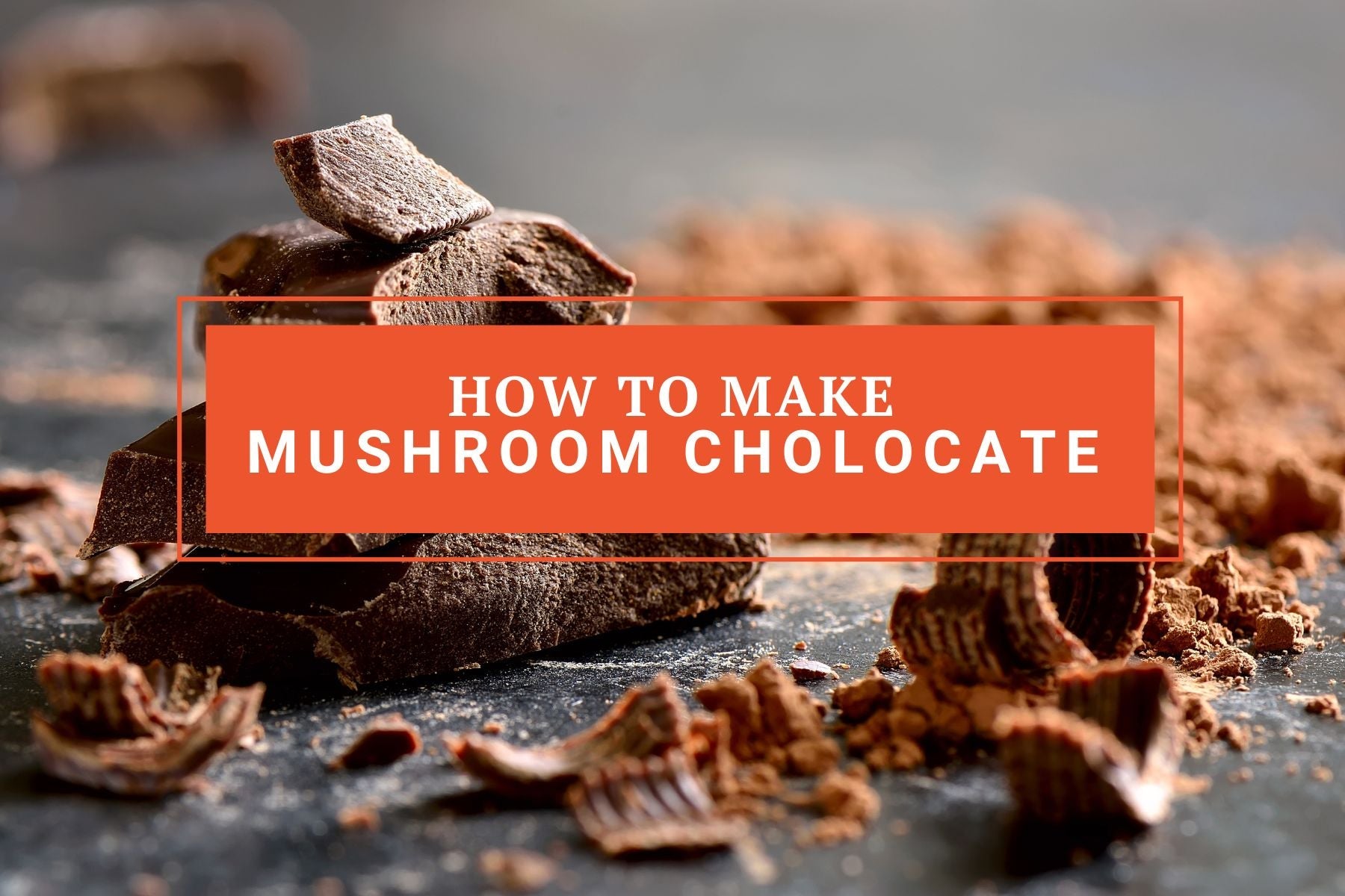Mushroom Chocolate