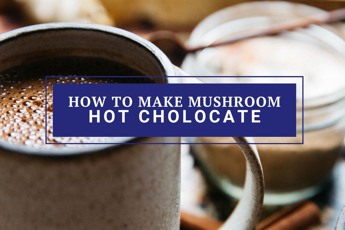 Mushroom Hot chocolate