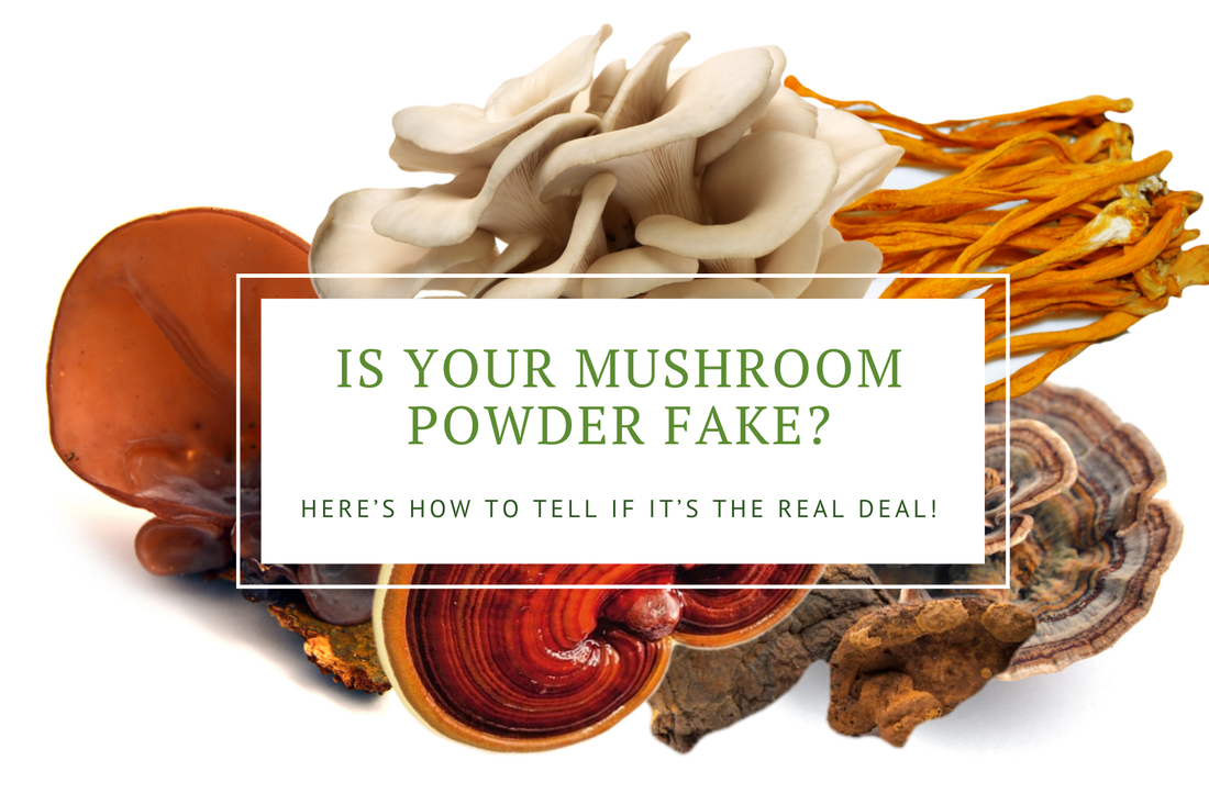 is your mushroom powder fake?  Learn the real thing with nourishing nutrients  superfood 10