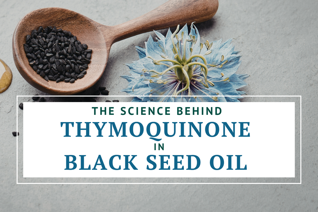 The Science Behind Thymoquinone in Black Seed Oil