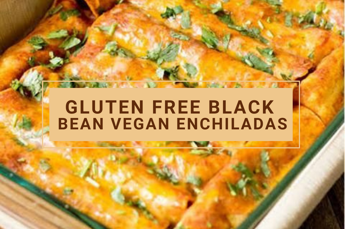 Gluten Free Black Bean Vegan Enchiladas