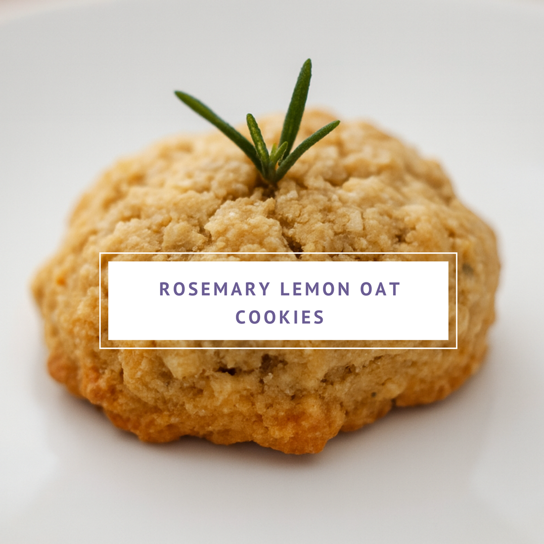 rosemary lemon oat cookies nourishing nutrients rosmarinic acid