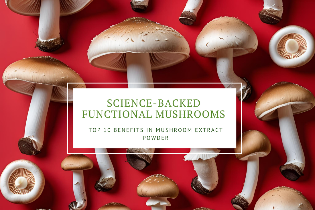 Science -backed functional mushrooms in mushroom powder