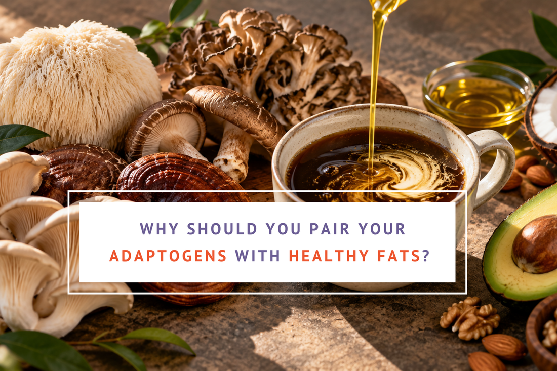 The Bioavailability Blueprint: Why You Should Pair Your Adaptogens with Healthy Fats