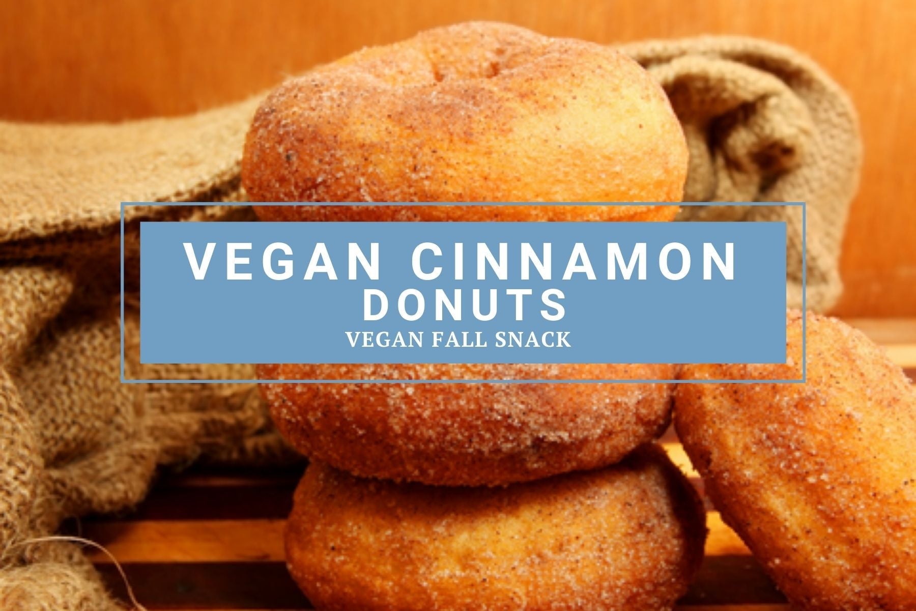 Vegan Cinnamon Donuts