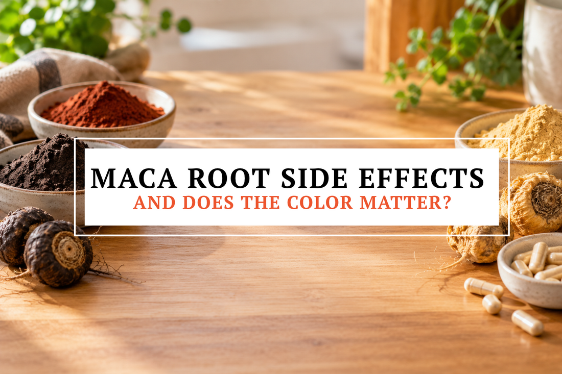 Black, red, and yellow maca root powders with gelatinized capsules on a counter, a guide to maca root side effects