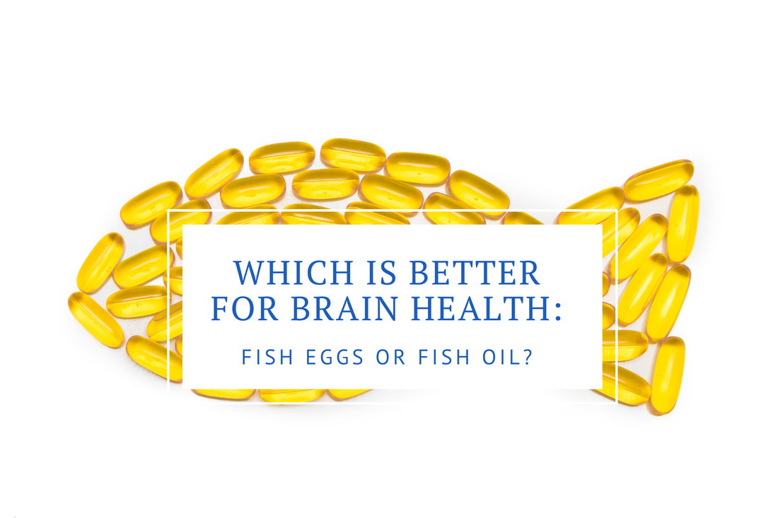 wild caught fish eggs are better for brain health than fish oil