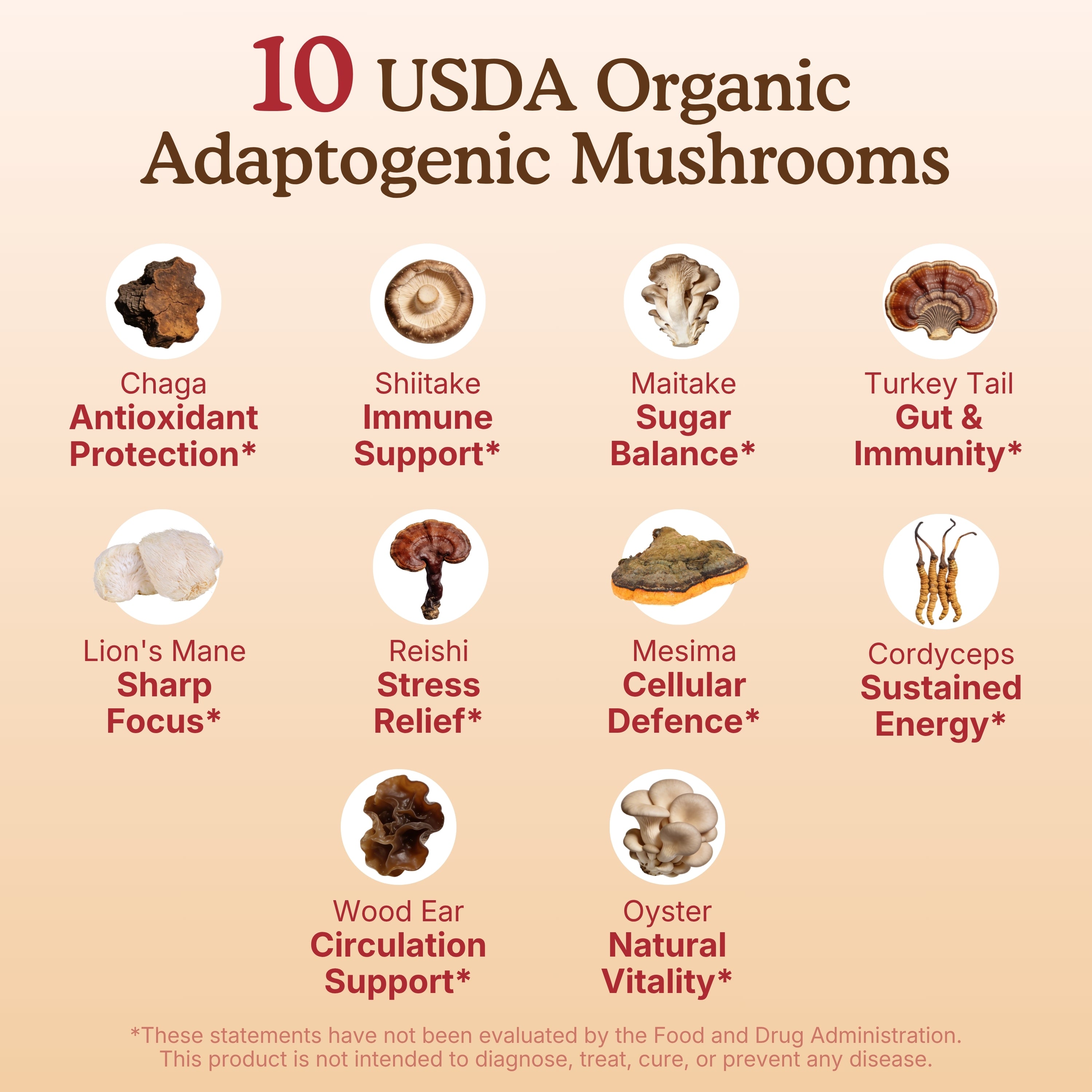 USDA organic adaptogenic mushroom graphic displays 10 mushroom types with benefit callouts, including chaga, shiitake, maitake, turkey tail, lion’s mane, reishi, mesima, cordyceps, wood ear, and oyster. The visual highlights wellness-focused support areas such as antioxidant protection, imushroom powder; mushroom extract; mushroom blend extract; mushroom extracts; ahcc mushroom extract organic; reishi mushroom extract powder; cordyceps mushroom extract powder; mushroom reishi powder; mushroom powder blend; 