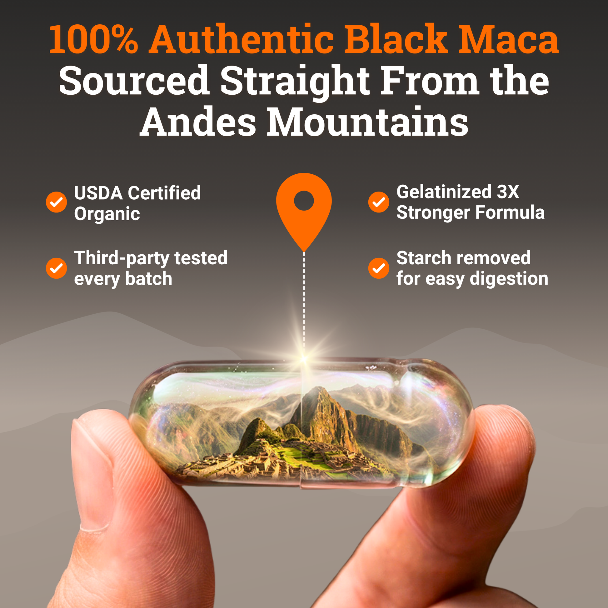 Transparent capsule held between fingers containing a miniature Andes mountain landscape, symbolizing authentic black maca sourced directly from Peru. The image highlights USDA Organic certification, third-party testing, nutrient preservation through gelatinization, and the traditional heritage of black maca cultivated in the Andes Mountains for centuries.
black maca capsules for men; black maca drops; black maca extract powder