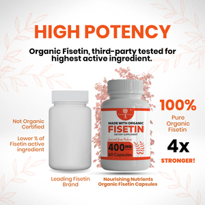 Antioxidant pure Powerful anti-aging supplement Organic fisetin suppliment 
