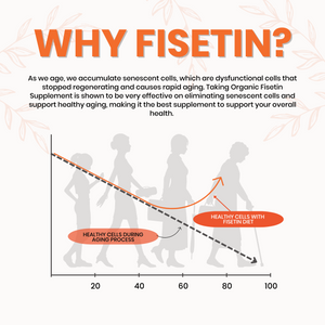 Fisten supplement Natural brain supplement Fisetin supplement