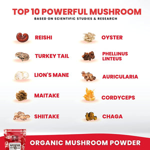 Herbal supplement powder Lion's mane and chaga Mushroom blend supplements