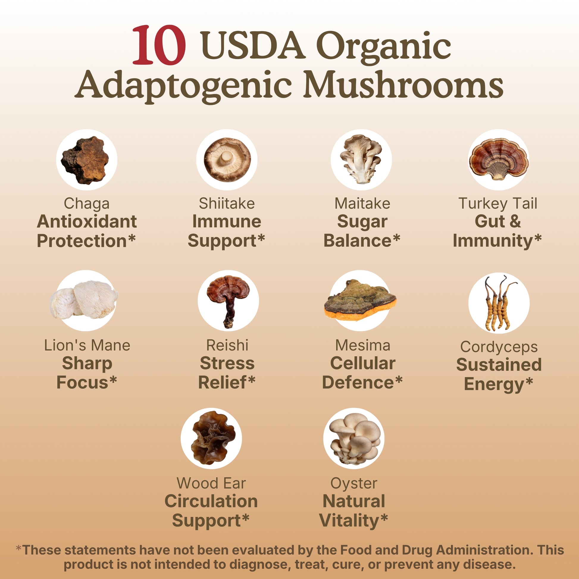 USDA Organic adaptogenic mushroom infographic featuring 10 mushroom varieties, including chaga, shiitake, maitake, turkey tail, lion’s mane, reishi, mesima, cordyceps, wood ear, and oyster mushroom. Each mushroom is paired with wellness-focused benefit callouts, highlighting areas such as antioxidant protection, immune support, cognitive function, energy, and overall vitality.
imushroom powder; mushroom extract; mushroom blend extract; mushroom extracts