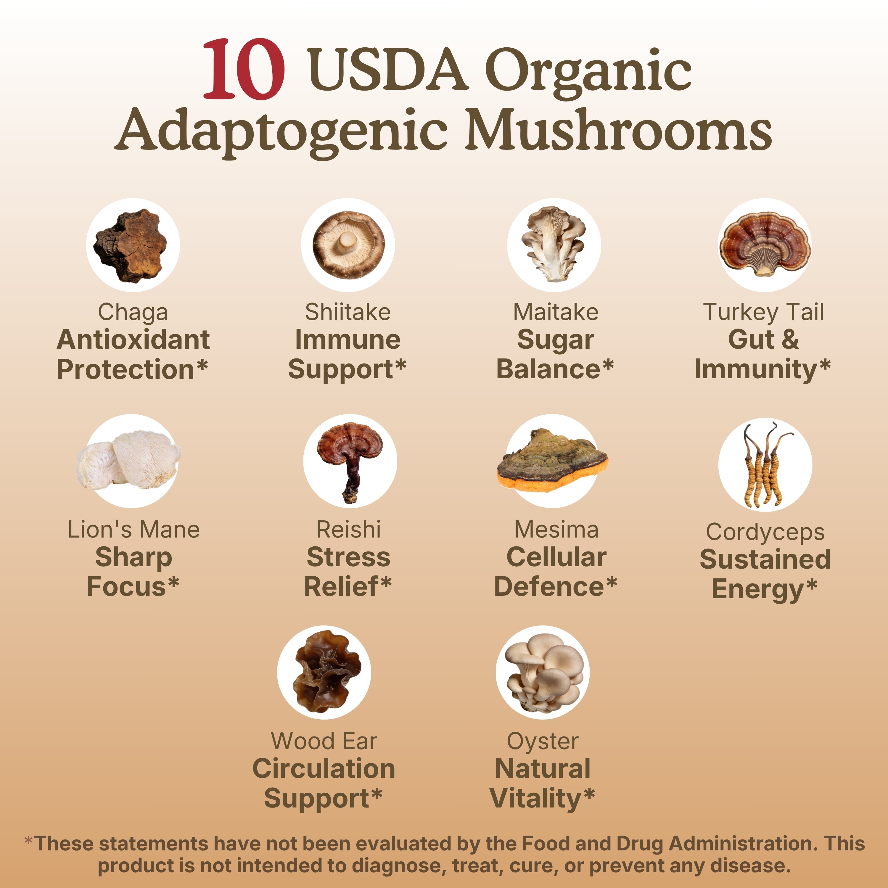 USDA Organic adaptogenic mushroom infographic featuring 10 mushroom varieties, including chaga, shiitake, maitake, turkey tail, lion’s mane, reishi, mesima, cordyceps, wood ear, and oyster mushroom. Each mushroom is paired with wellness-focused benefit callouts, highlighting areas such as antioxidant protection, immune support, cognitive function, energy, and overall vitality.
imushroom powder; mushroom extract; mushroom blend extract; mushroom extracts