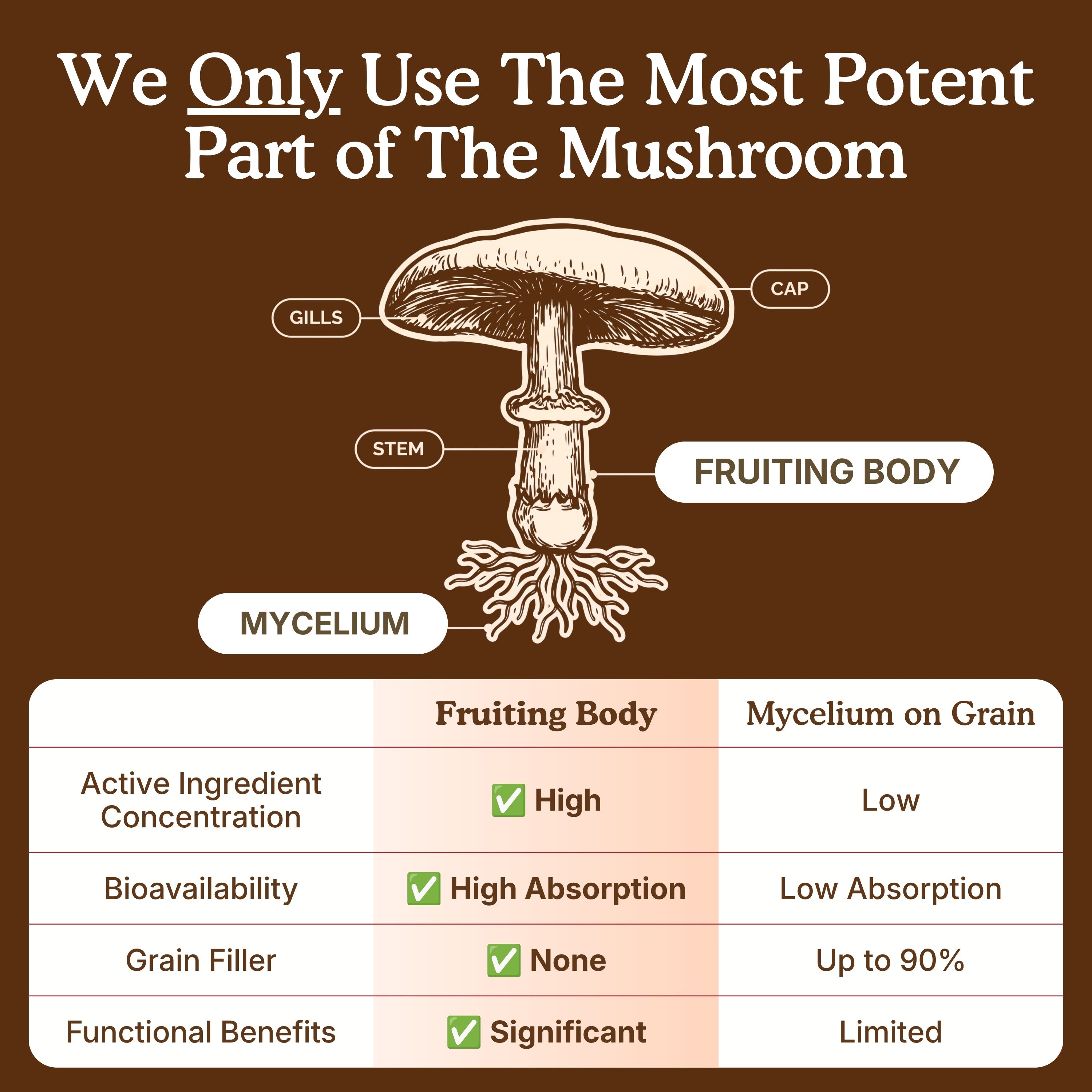 Educational mushroom supplement graphic showing mushroom anatomy, labeling the cap, gills, stem, mycelium, and fruiting body. The comparison chart explains that the fruiting body is the most potent part of the mushroom and contrasts fruiting body mushroom powder with mycelium on grain, highlighting higher active ingredient concentration, greater beta-D-glucan content, improved bioavailability, and no grain fillers.
 high mushroom powder; sacred 7 mushroom extract powder; mushroom powder for coffee