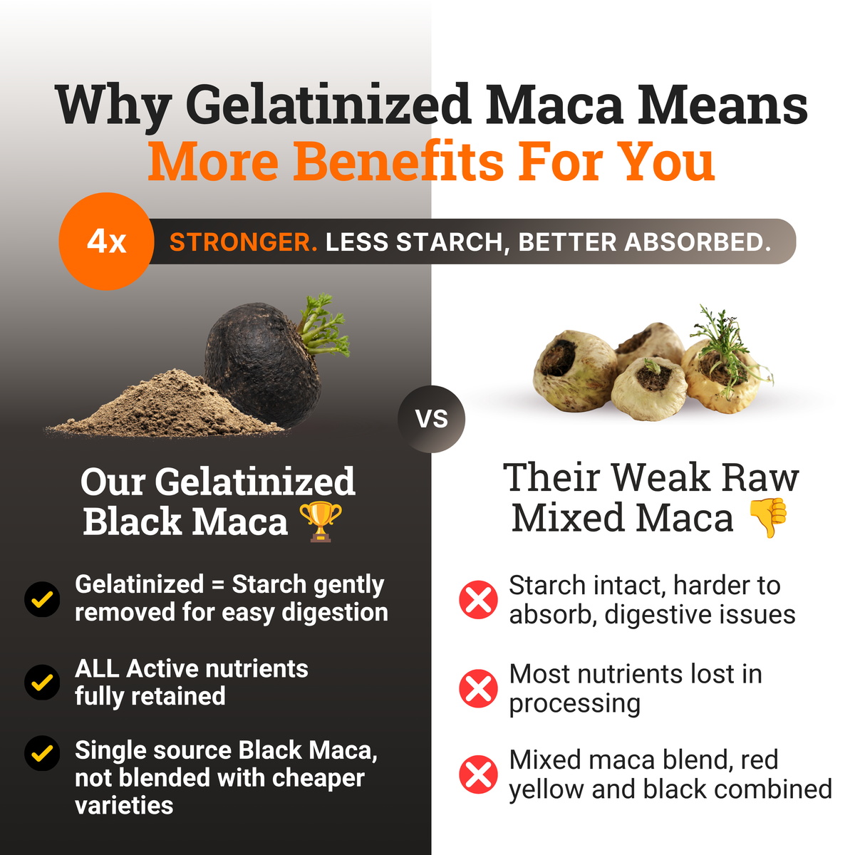 Gelatinized Black Maca Powder comparison infographic titled “Why Gelatinized Maca Means More Benefits For You,” contrasting gelatinized black maca with raw mixed maca. Highlights 4X stronger claims, reduced starch for easier digestion, retained active nutrients, and single-source black maca versus raw blends containing red, yellow, and black maca. macaroot, powder for women, testosterone booster for women, super balance hormonal drink, women libido boost
