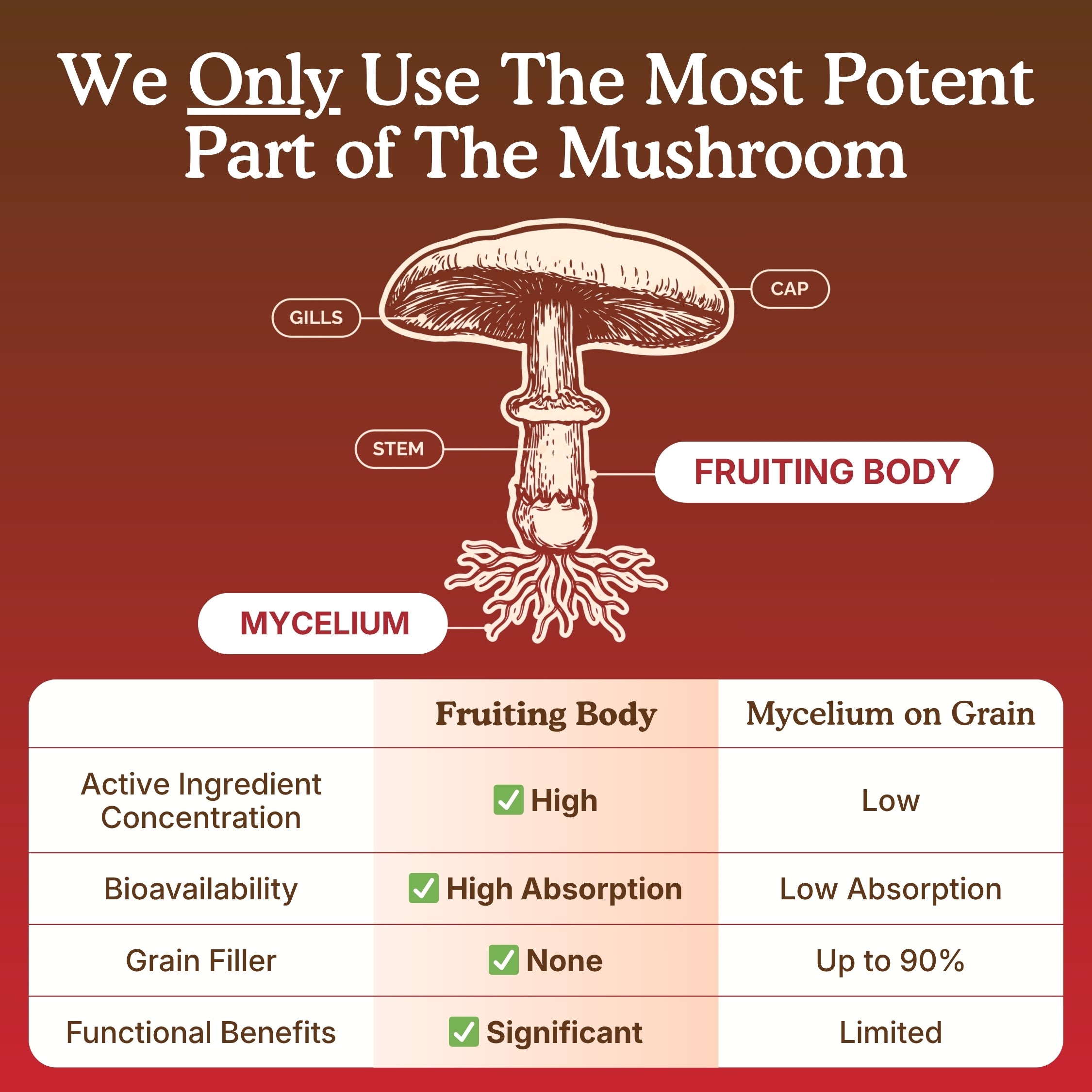 Educational mushroom supplement graphic explains that the fruiting body is the most potent part of the mushroom, labeling the cap, gills, stem, mycelium, and fruiting body. The comparison table contrasts fruiting body mushroom powder with mycelium on grain, highlighting higher active ingredient concentration, high mushroom powder; sacred 7 mushroom extract powder; mushroom powder for coffee; organic mushroom powder; mega mushroom powder; mushroom blend; real mushrooms 5 defenders; real mushrooms 5 defenders